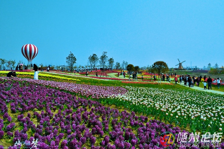 17469352820160406091525070_640 .jpg